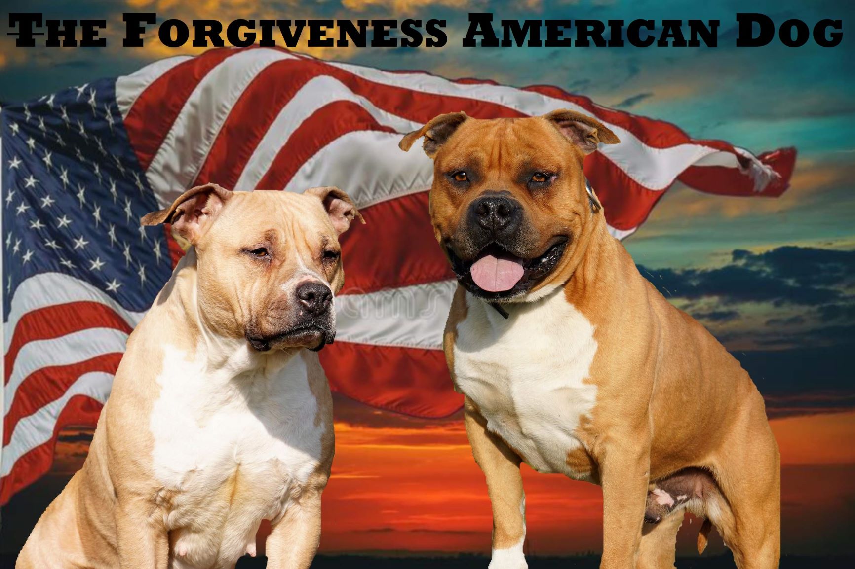 Forgiveness American Dog